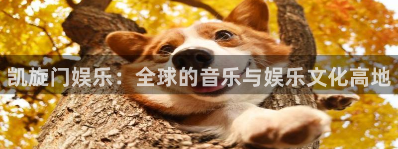 三牛娱乐