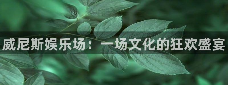三牛娱乐