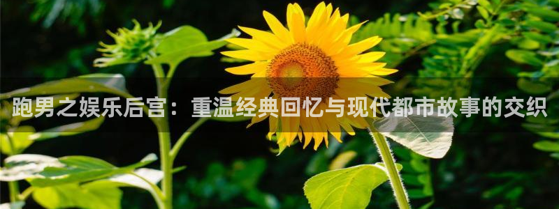 三牛娱乐